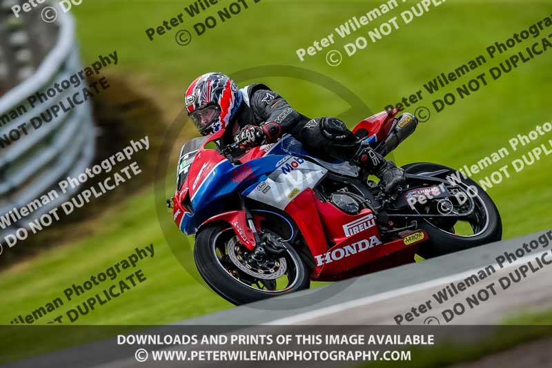 PJ Motorsport 2019;anglesey;brands hatch;cadwell park;croft;donington park;enduro digital images;event digital images;eventdigitalimages;mallory;no limits;oulton park;peter wileman photography;racing digital images;silverstone;snetterton;trackday digital images;trackday photos;vmcc banbury run;welsh 2 day enduro